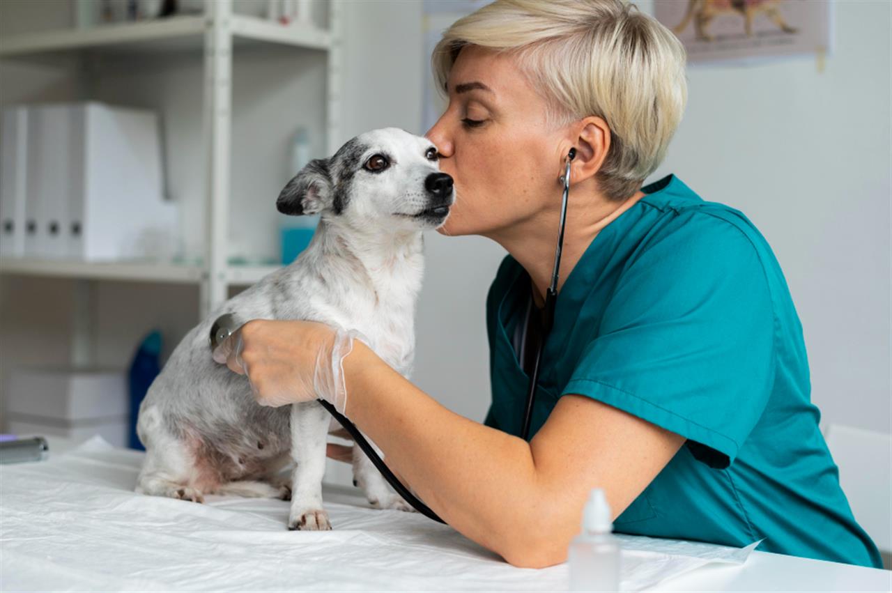 Dyre hospital prioriterer vi dit kæledyrs sundhed højt